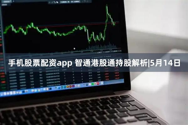 手机股票配资app 智通港股通持股解析|5月14日